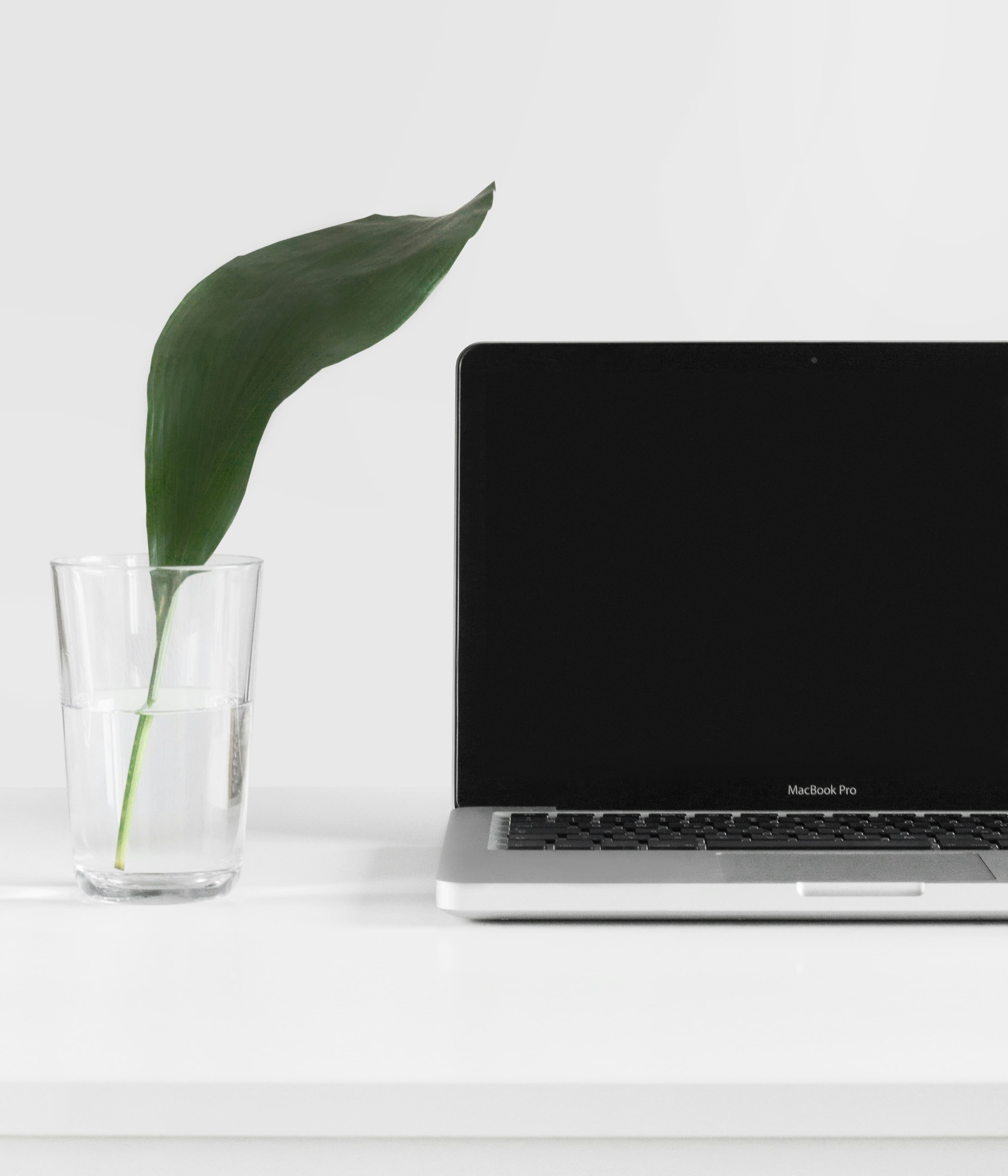 maintenance souscription