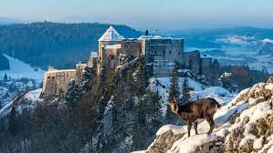 Château de Joux 